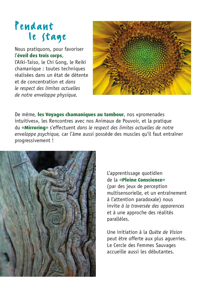 difficultes rencontrées stage