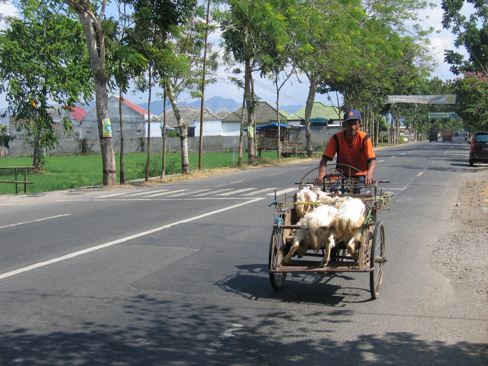 Blog Pascal Moyens de transport en Indonésie Means of transportation