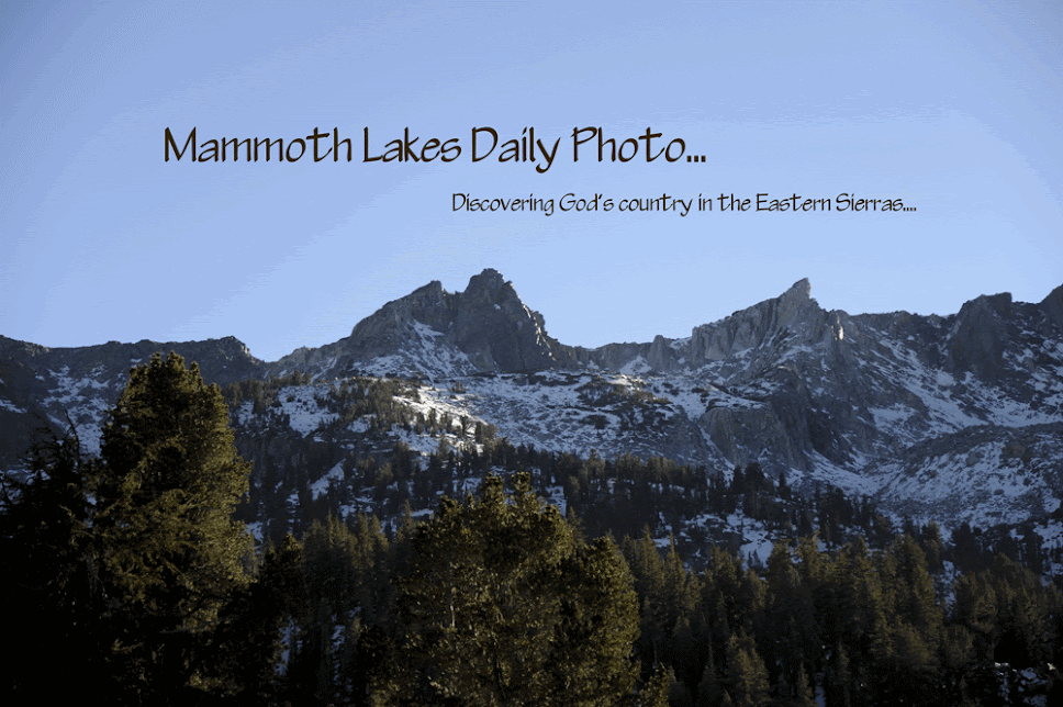 Mammoth Lakes Daily Photo