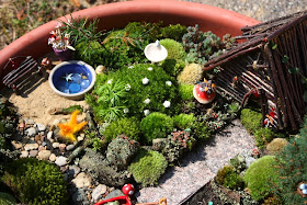 Juise: Our Fairy Garden: A Tour