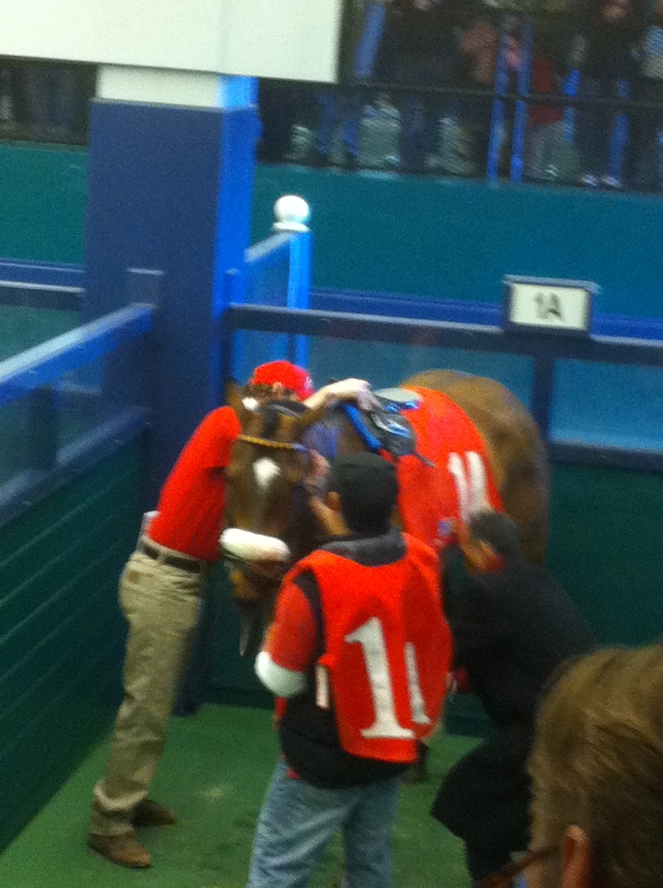 heat in the 3rd race it was ama...