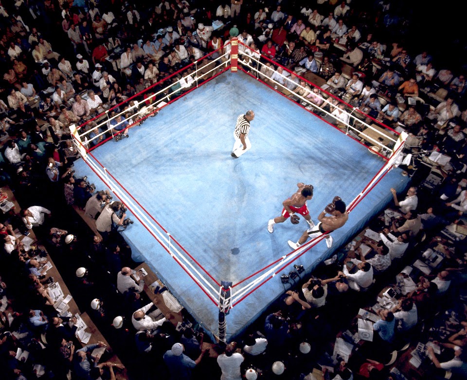 Observations in an undemocratic world Ropeadope