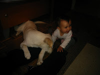 Xia & Lina playing by JBerce