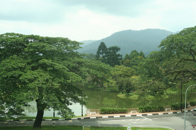 马来西亚霹雳州太平 太平山太平湖