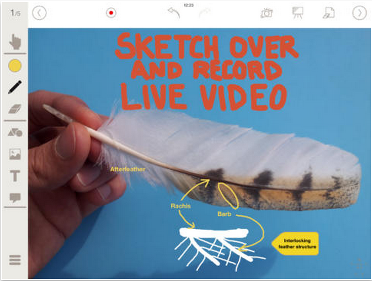Here Is How to Use iPad As A Document Camera in Class Educators