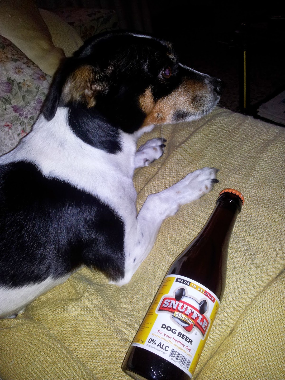 Norilsk Dog Beer
