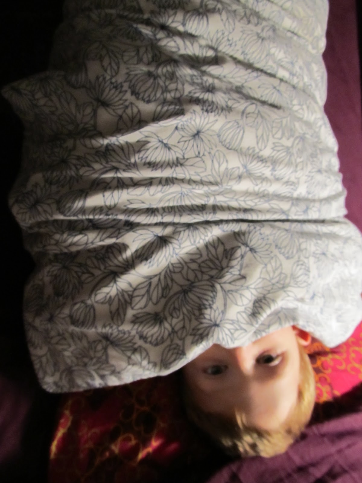 Life In The Unknown Sensory Diets for Seekers