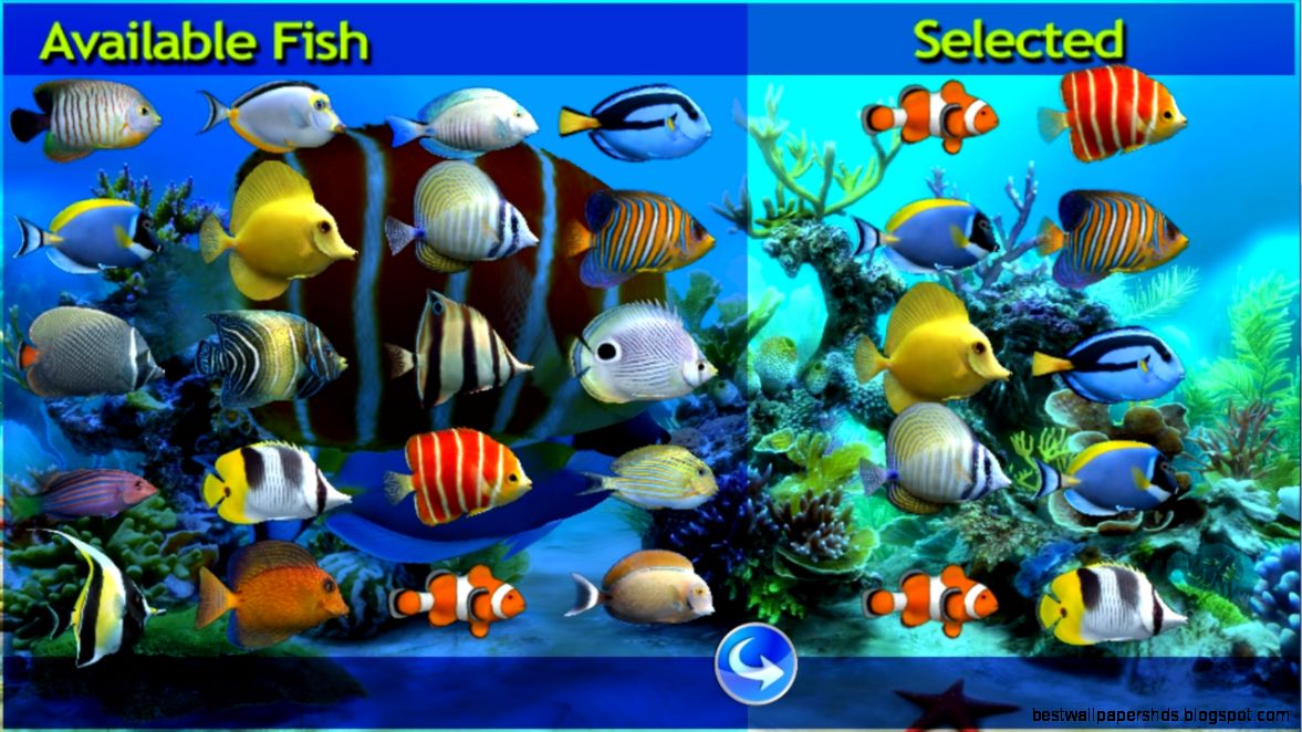 Sim Aquarium Live Wallpaper Android Apps on Google Play Sim Aquarium Live Wallpaper Android Apps on Google Play