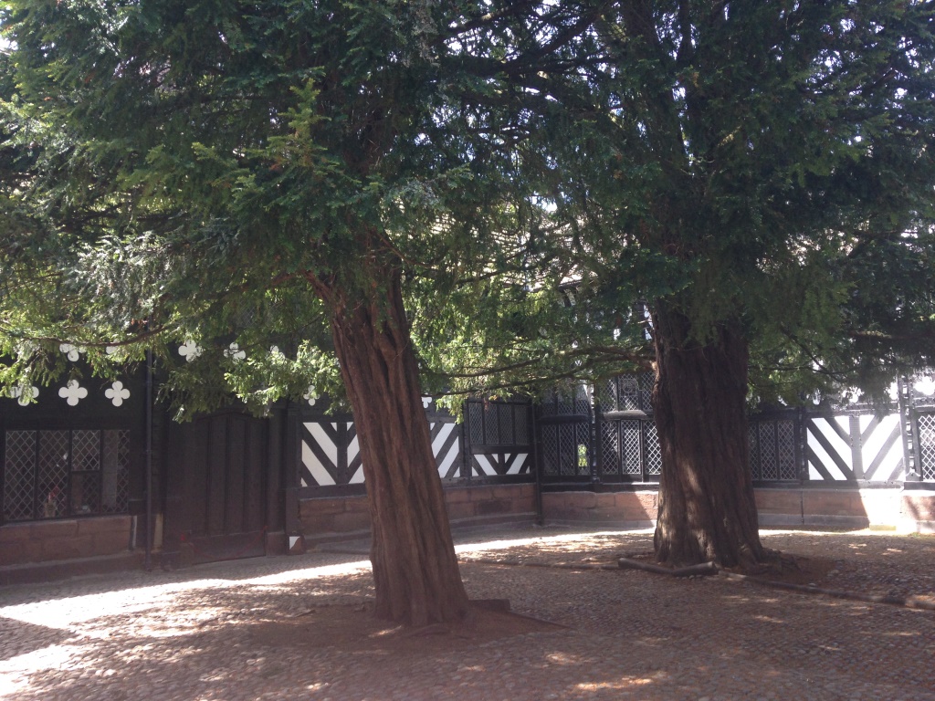 National Trust Scones Speke Hall