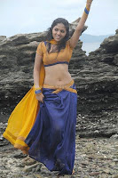 Sunaina hot cleavge,navel and thigh show  images