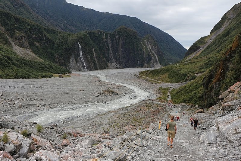 Fox Glacier