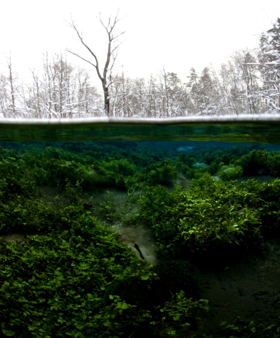The 100 best photographs ever taken without photoshop The 100 best photographs ever taken without photoshop