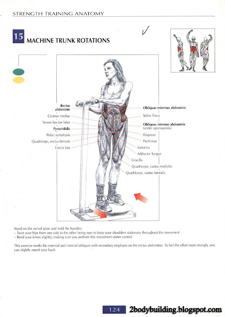 أهم تمارين لشد وتقوية عضلات البطن  Abdominal+124