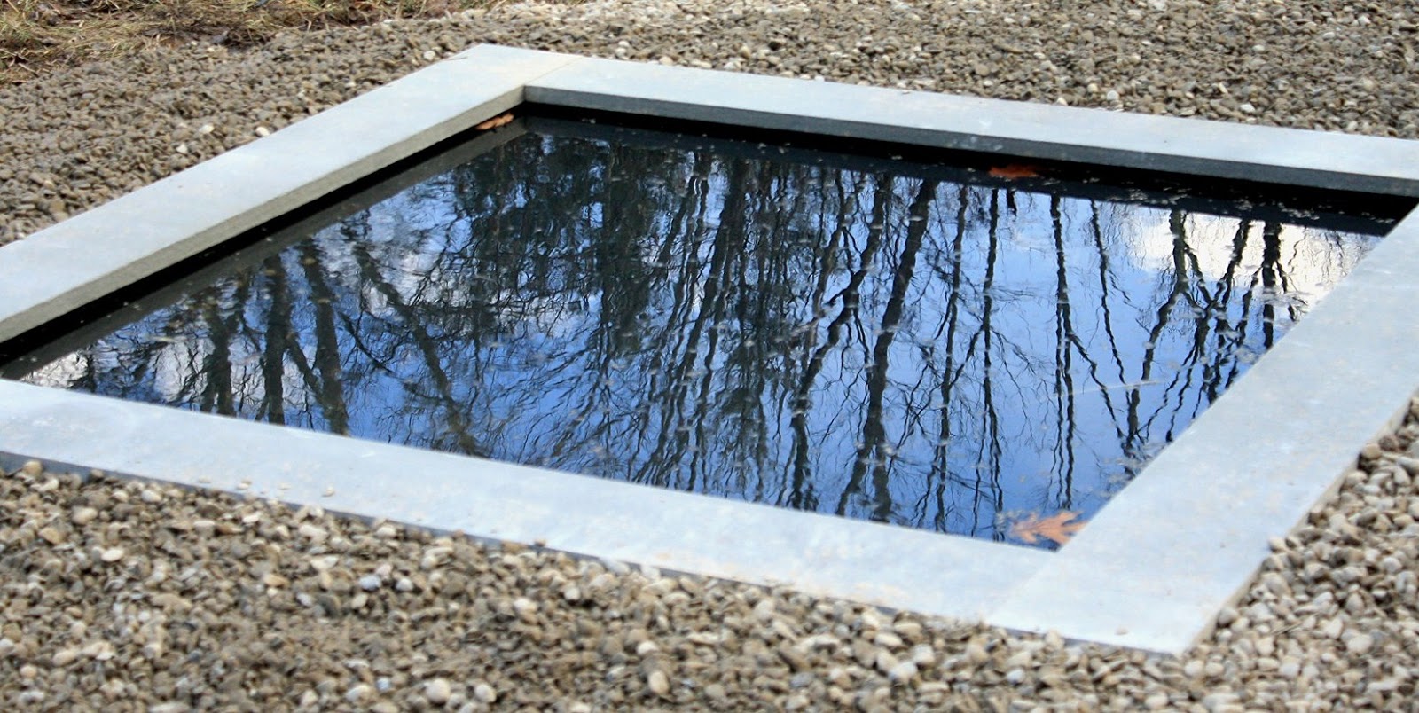 View from Federal Twist Garden Diary Reflections