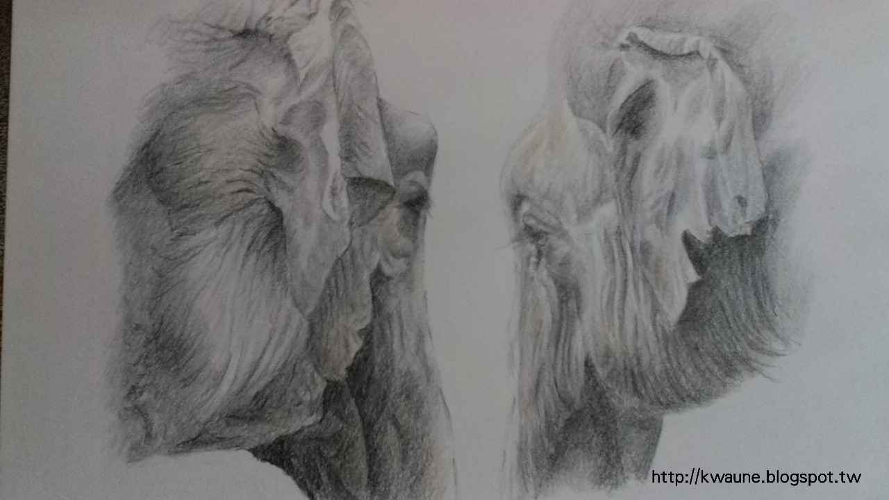 沈默之象 色鉛筆畫