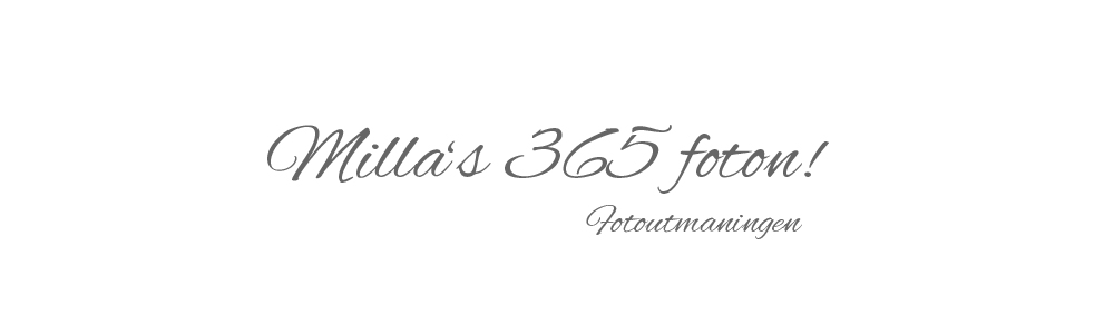 Milla's 365