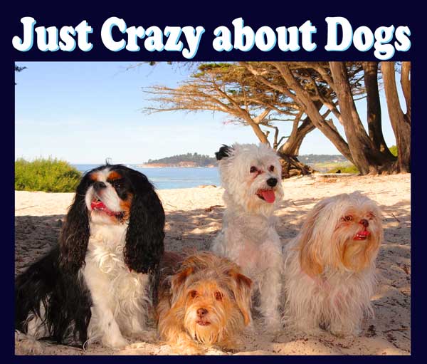JUST CRAZY ABOUT DOGS