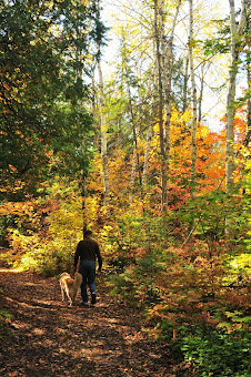 Fall in Cottage Glen