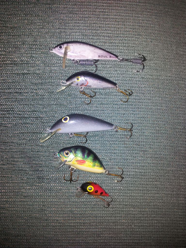 Fishing in Poland spinning, casting and flyfishing New lures for