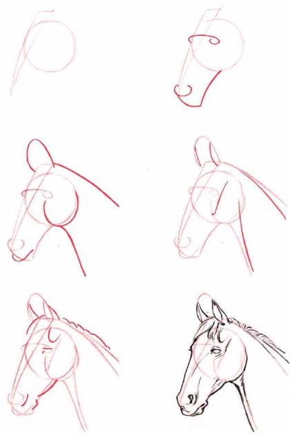 Como desenhar um cavalo passo a passo realista - Como desenhar