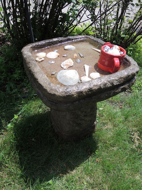 Sea shell bird bath