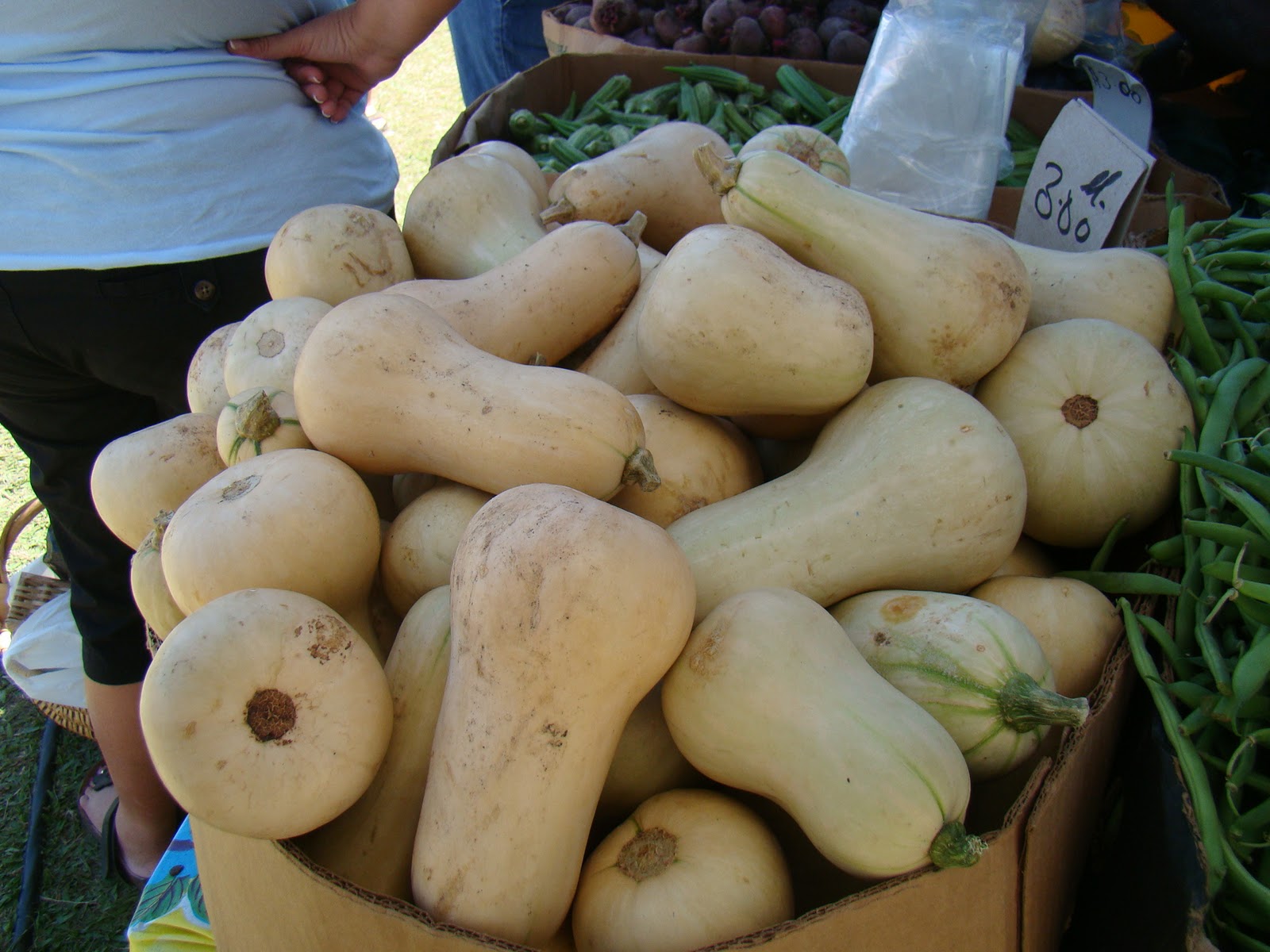 Quiet Reflections of Barbados Redland Farms