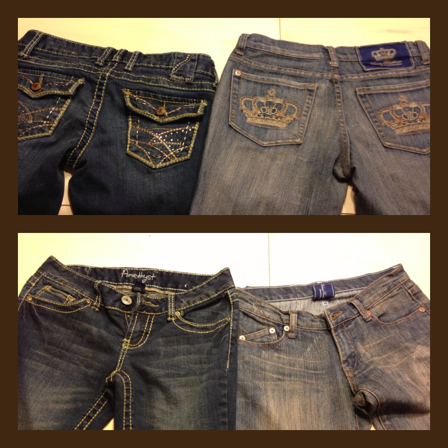 Peacocks and Leopards Sharpie to Jean Stitching