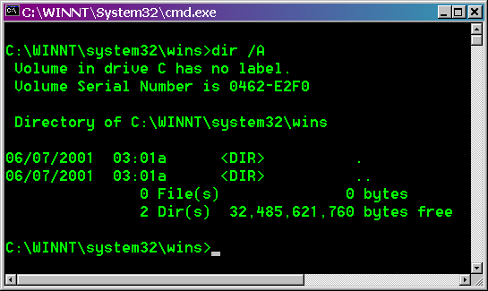 VIRUS SASSER WINDOWS 2000 virus sasser windows 2000: