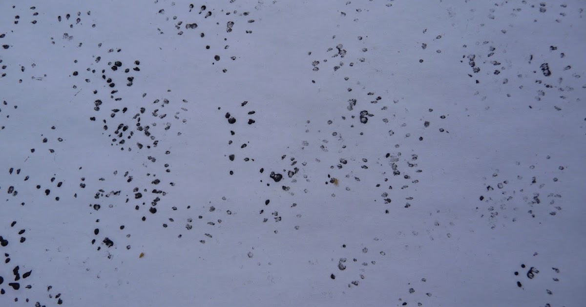 Hedgehog Footprint Traps