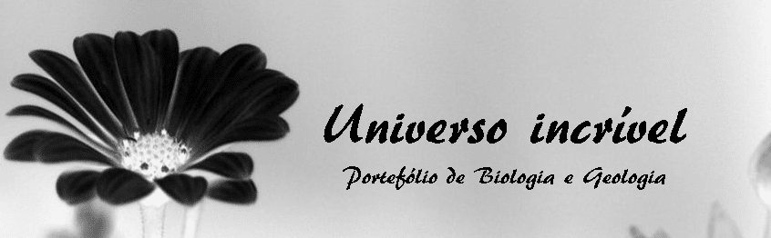 Universo Incrível