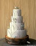 Martha Stewart Succulent Wedding Cake