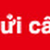 CÂU HỎI VỀ BẢO DƯỠNG