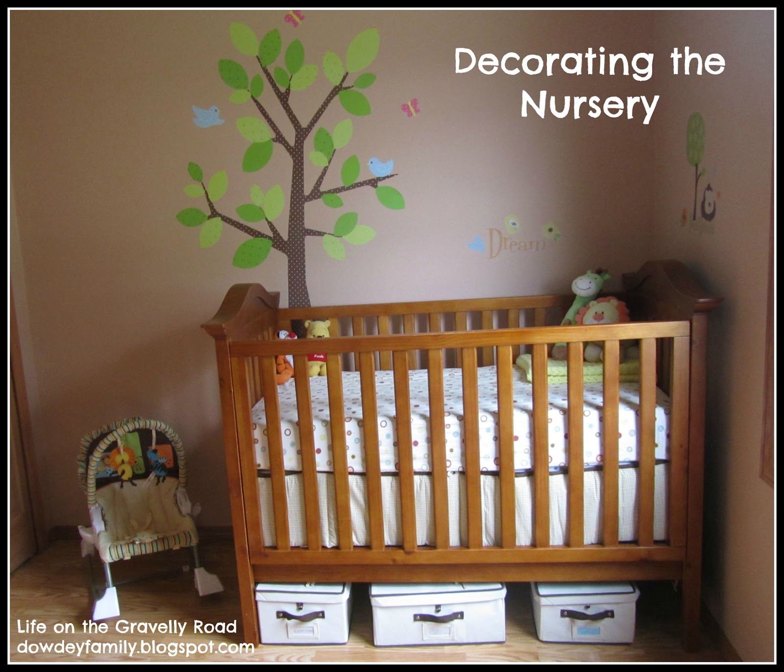 Life on the Gravelly Road A Nursery In Progress