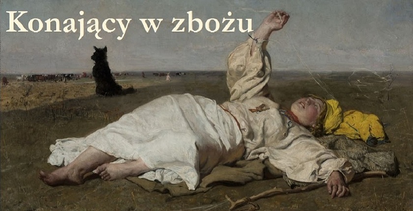 Konający w zbożu