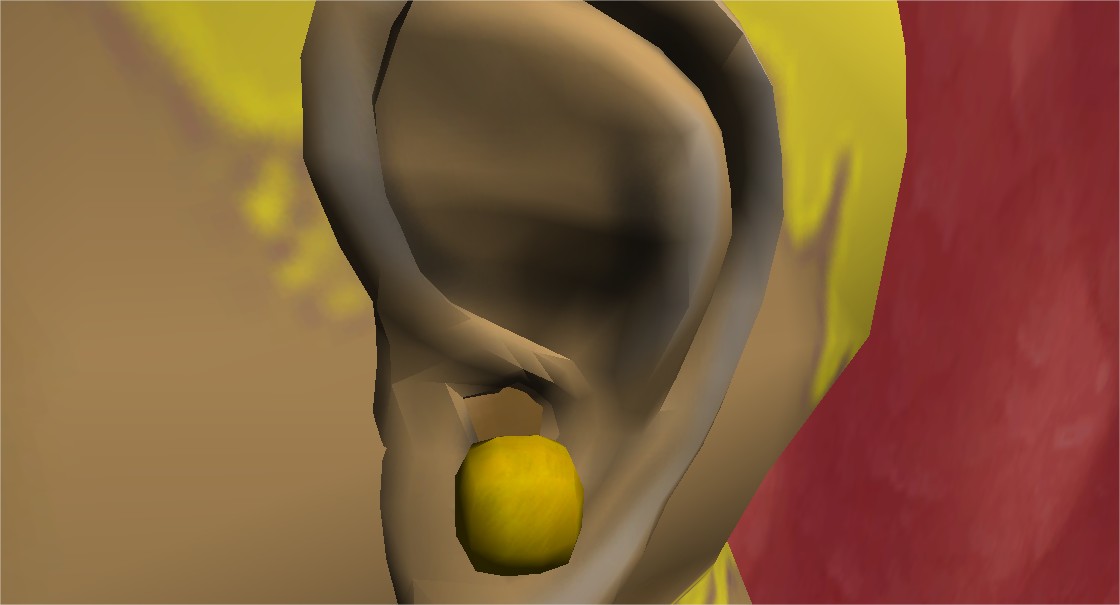 Ear5.jpg