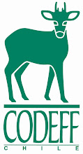 CODEFF