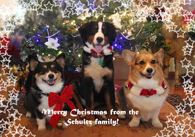 A Day in the Life&hellip;: December 2011