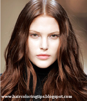 Short Hairstyles 2014 Celebrity Hair Color Brunette