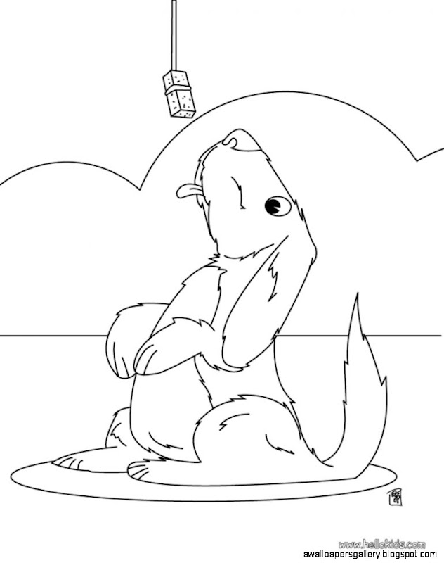 DOG coloring pages Cute little dog DOG coloring pages Cute little dog