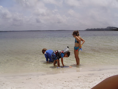 Collecting shells out on Shell Island near Panama City Beach, Florida