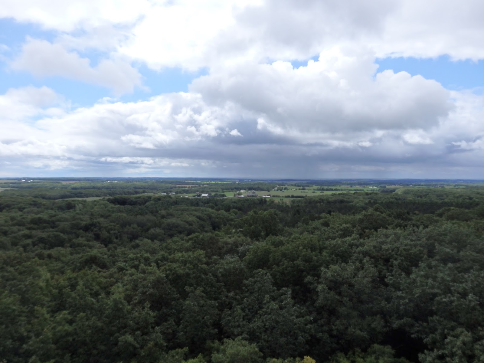 2 On the Road Kettle Moraine State Forest North Unit in Wisconsin