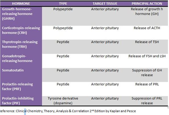 General Concepts of Endocrinology | Clinical Chemistry Blog Notes 27E