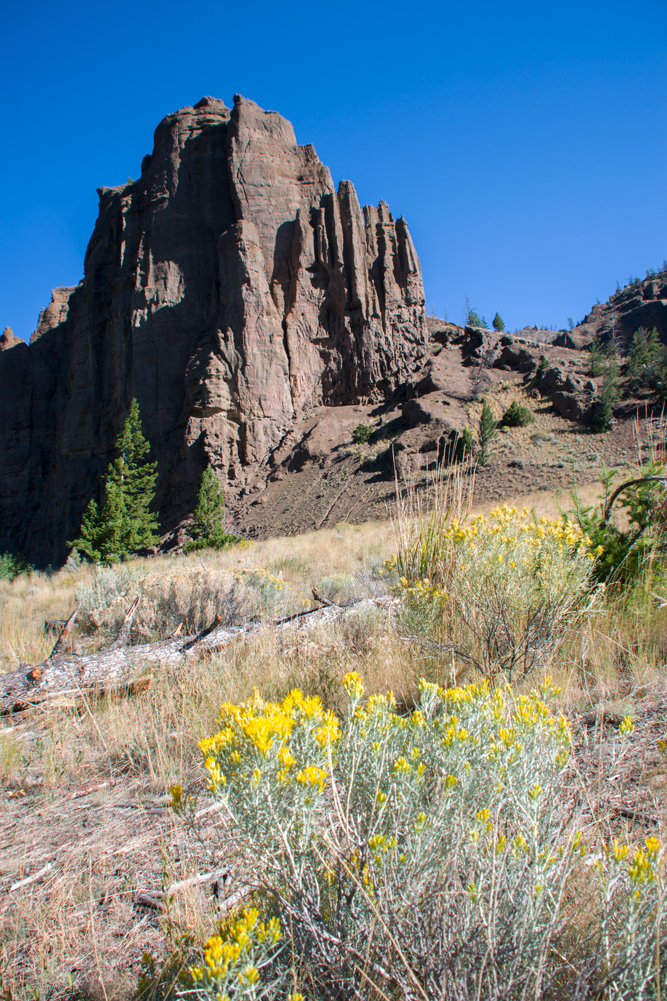 Driving from Yellowstone to Lovell, Wyoming