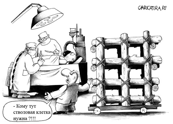 стволовые клетки карикатура