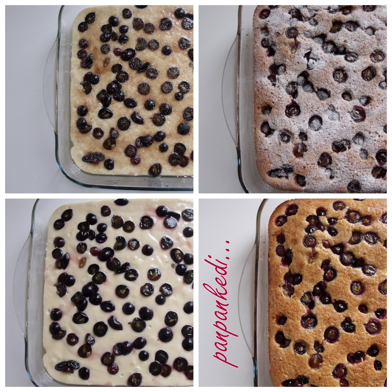 Panpankedi… Siyah Üzümlü Islak Kek
