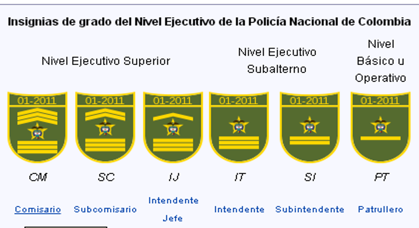 Cívica Juvenil Y Grupo de Apoyo Comunitario Pereira Grados Y Niveles