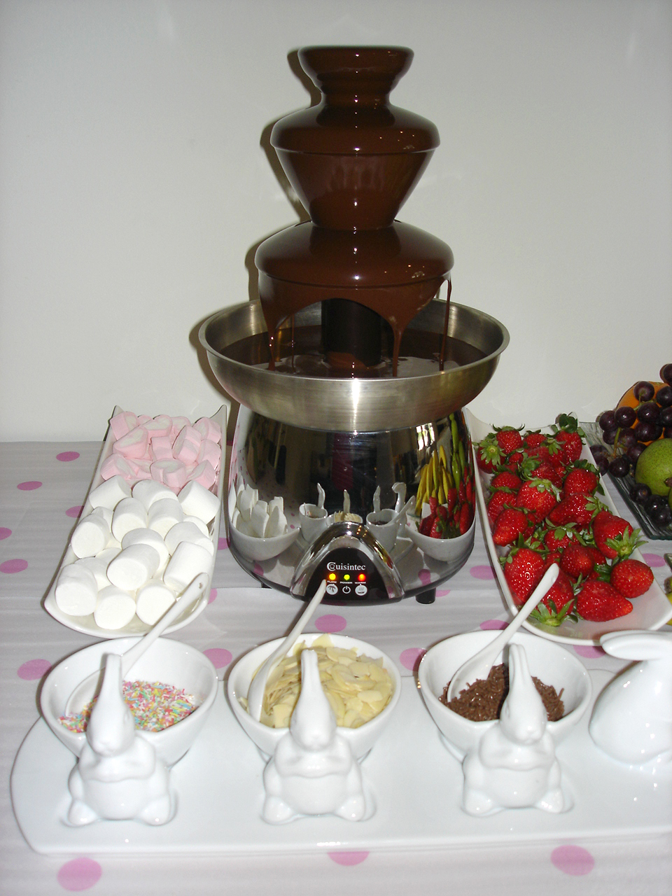 Veronica's Vault of Creativity 2012 NNC Anniversary Meet