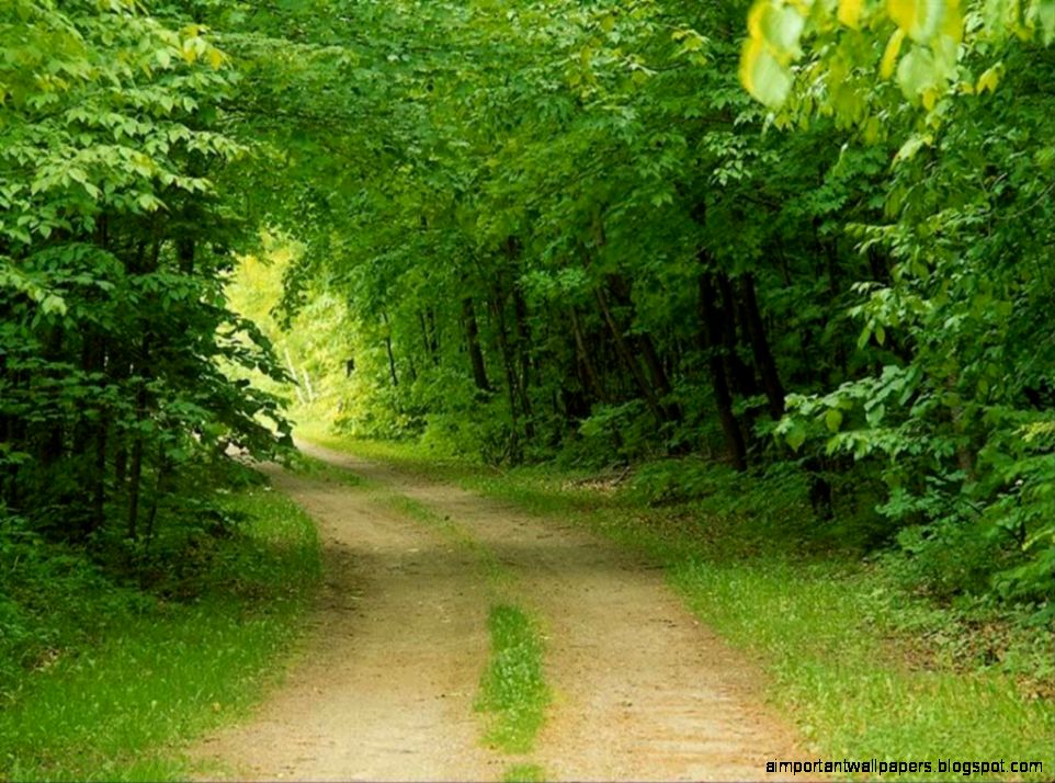Green Nature Desktop Green Nature Desktop