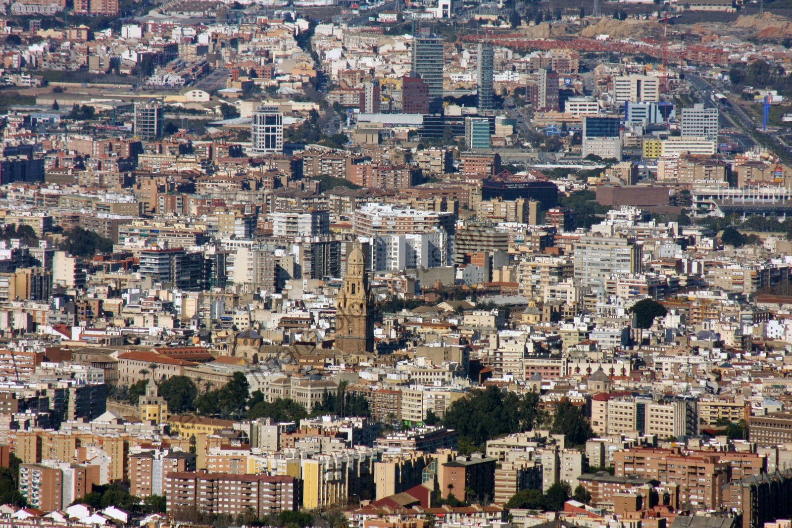 Murcia (Región de Murcia)