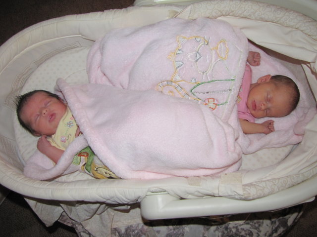 twin baby bassinet